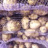 картофель урожай 2019 г. в Кунгуре